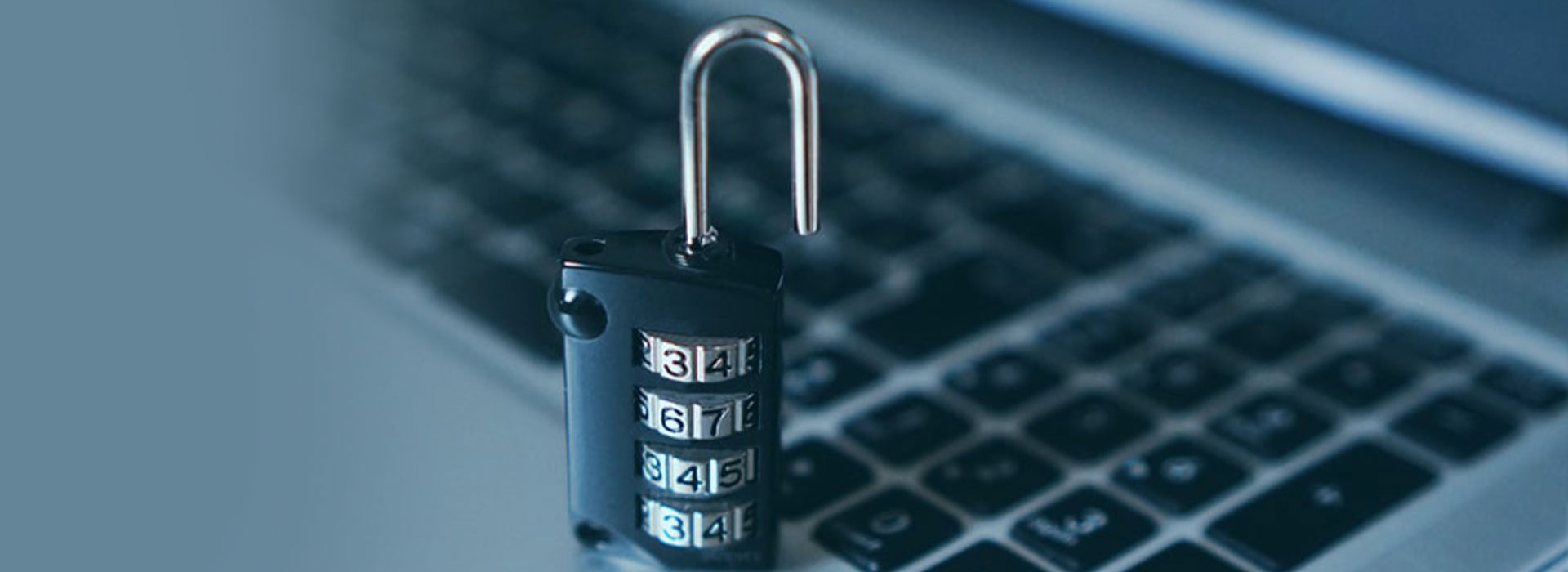 5 things you must know blog desktop banner