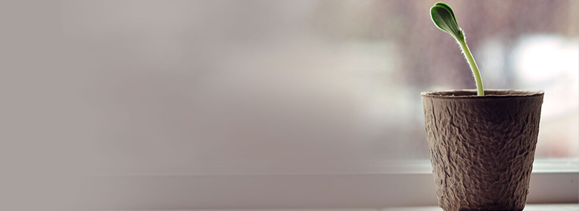 campus to corporate with jade desktop banner