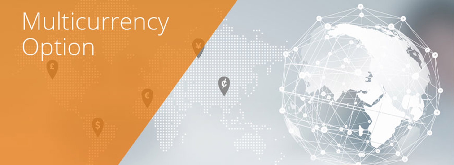 not using multicurrency option blog desktop banner