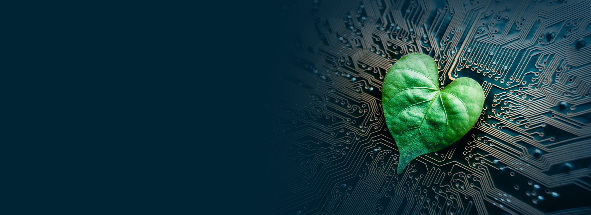 Netzero on demand webinar banner