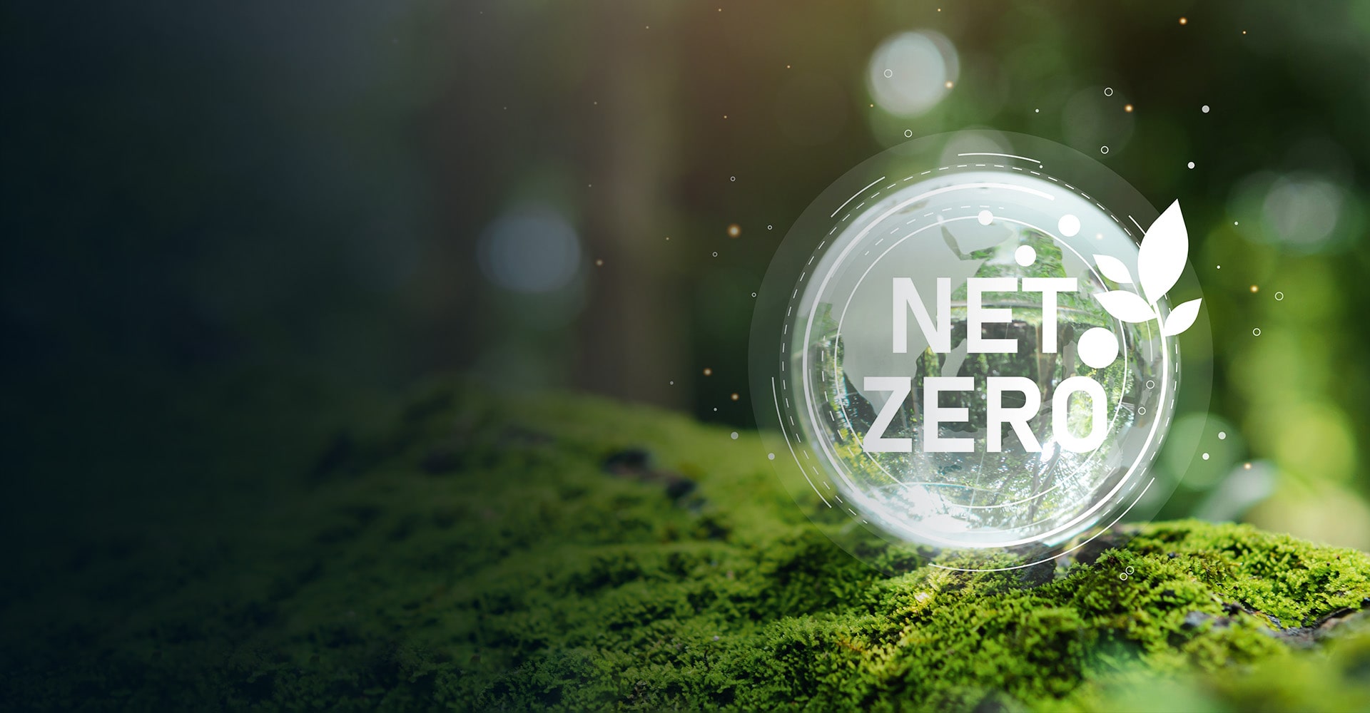 Net zero cloud case study