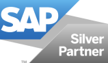 Trusted SAP Partner in USA