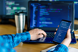 Netsuite Services for Software Industry