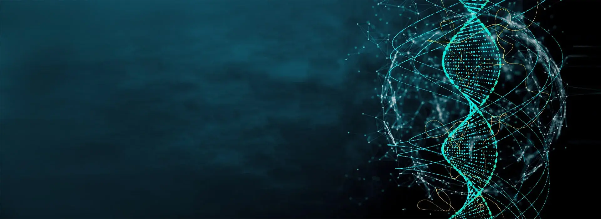 Oracle NetSuite