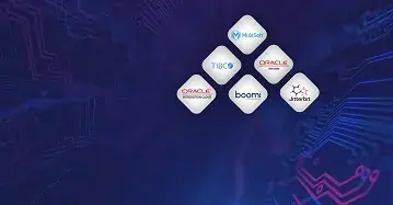 Integration Services