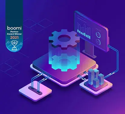 Boomi Hosting Services