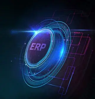 NetSuite Case Study