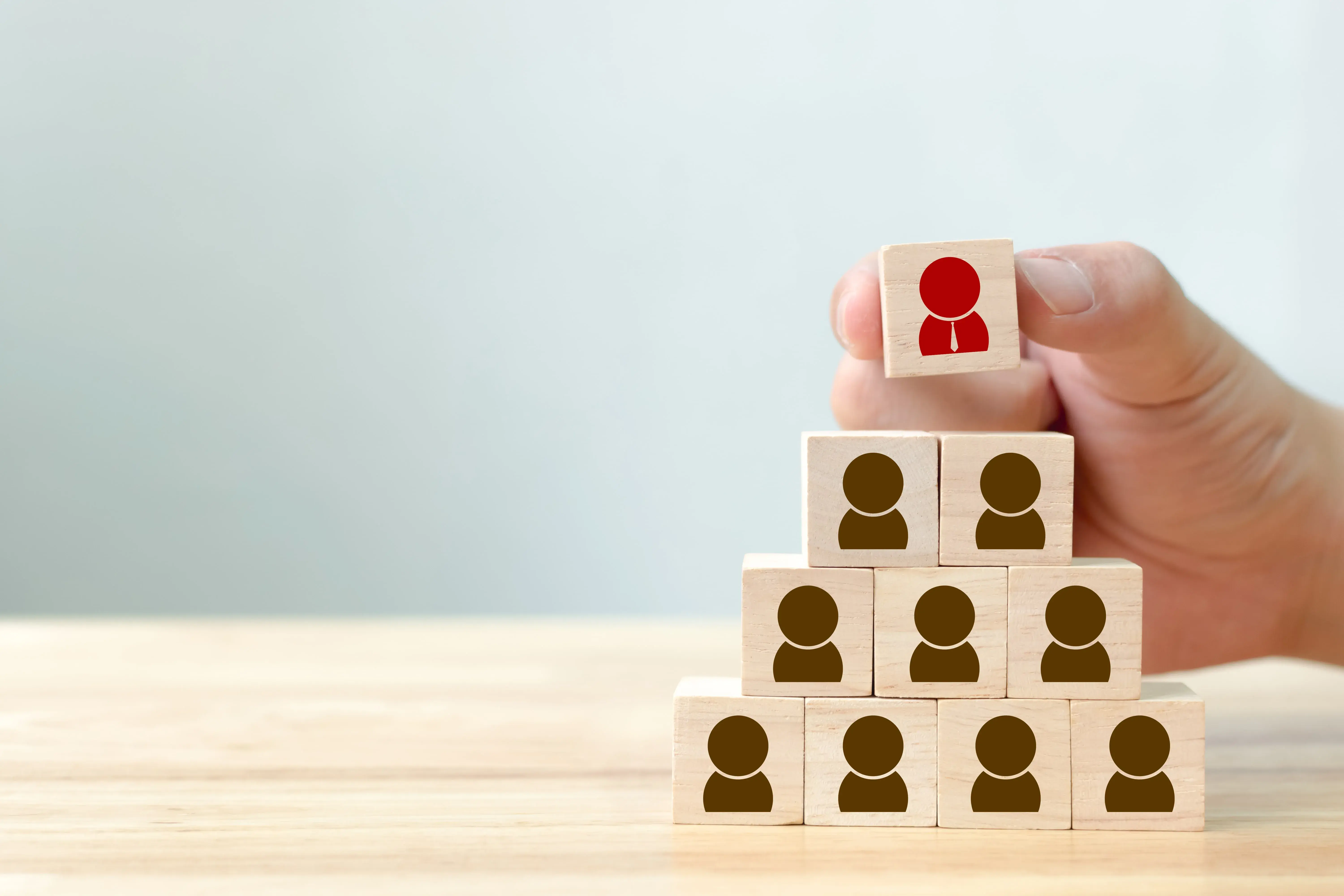 Implementation of HCM Analytics