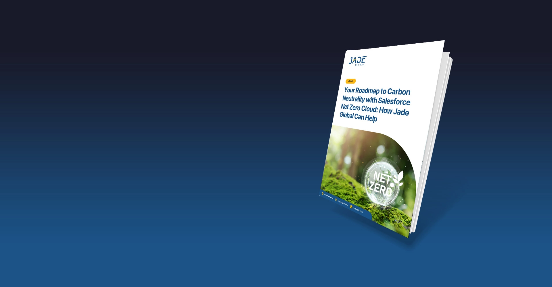 Carbon Neutrality with Salesforce Net Zero Cloud