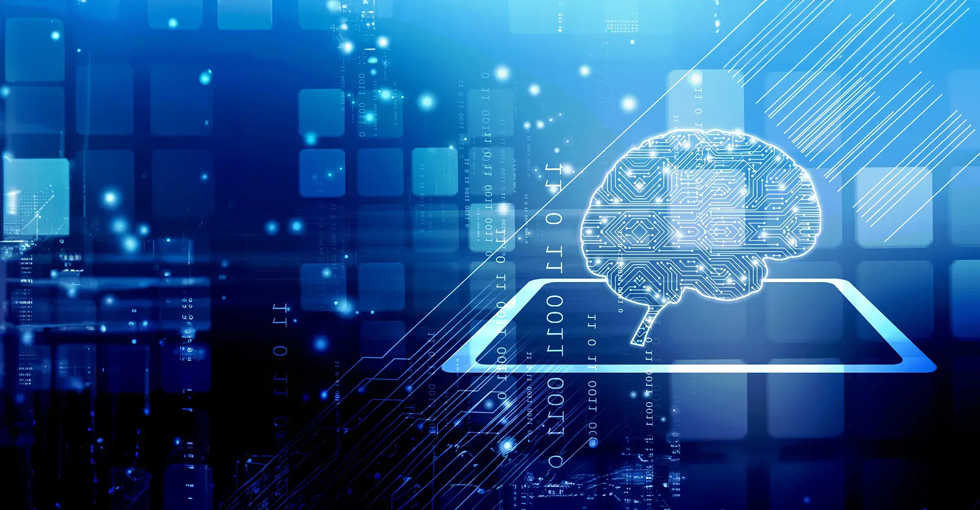 Intelligent Data Solutions
