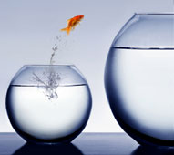 Quality Mobile App Testing